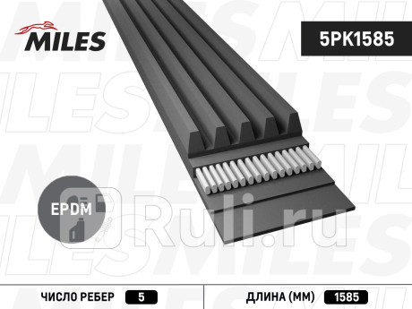 Ремень поликлиновой 5pk1585 miles MILES 5PK1585  для прочие 2, MILES, 5PK1585