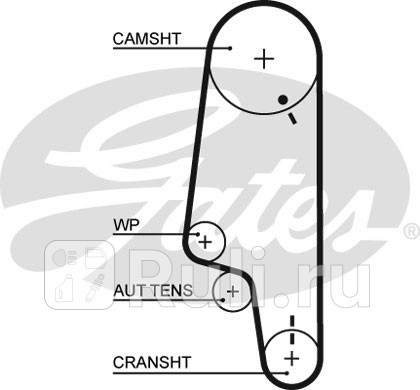 Ремень грм gates 5428xs /859715428/ 137*19 GATES 5428XS  для прочие 2, GATES, 5428XS